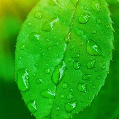 打鱼下载下载手机版